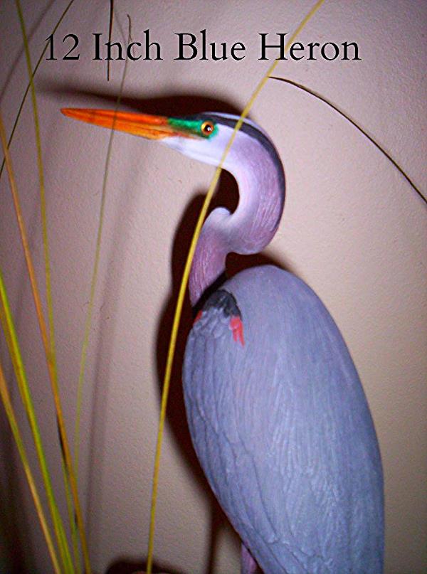Close up detail of Blue Heron