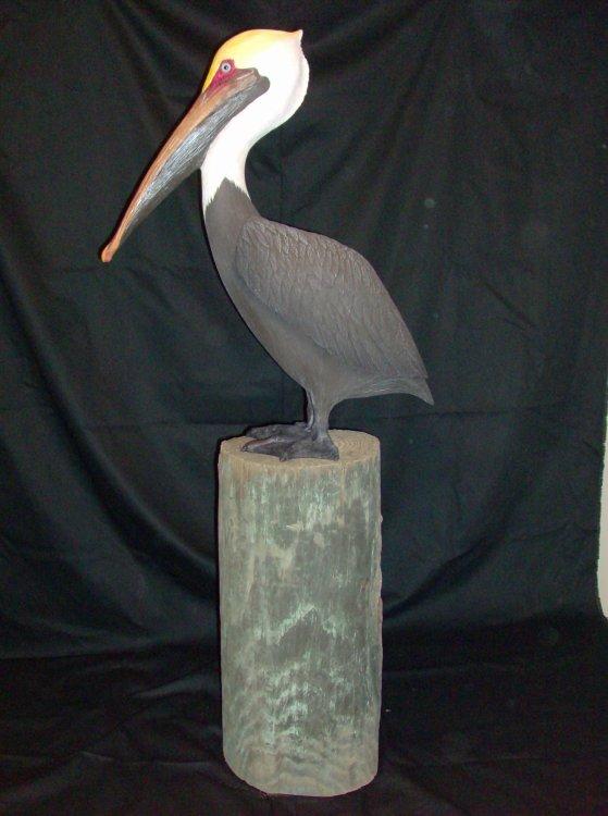 Pelican Wood Carving Patterns Barn Cabinet Plans Woodworking Pelican Wood Carving Patterns Bird House Plans Georgia Chinese Birch Plywood Grades Blueprints For Storage Shed 2018 Feature